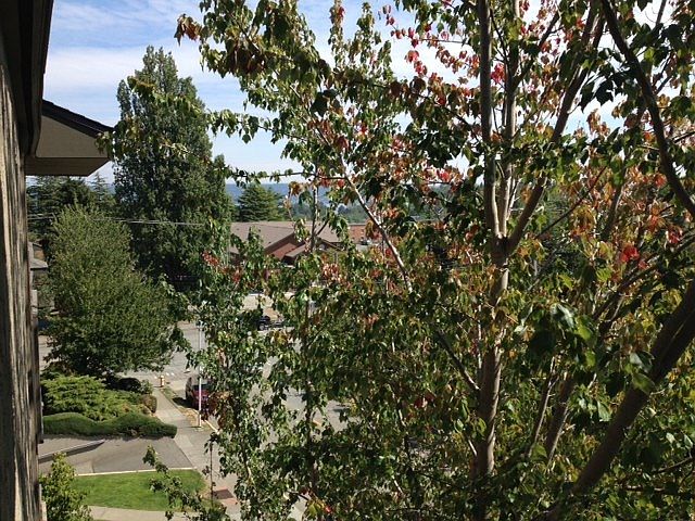 Peek-a-boo view of Lake Washington