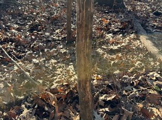 Climer Rd, Golconda, IL 62938