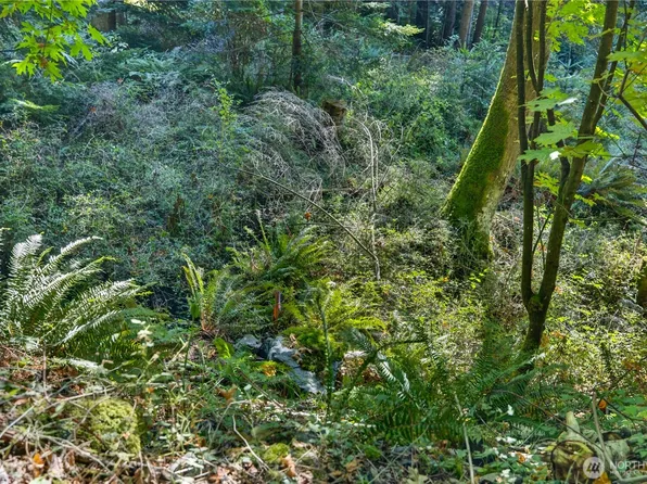 0 NHN Woody Lane W, Anacortes, WA 98221