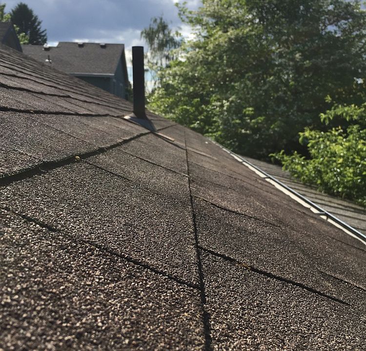 Shingle