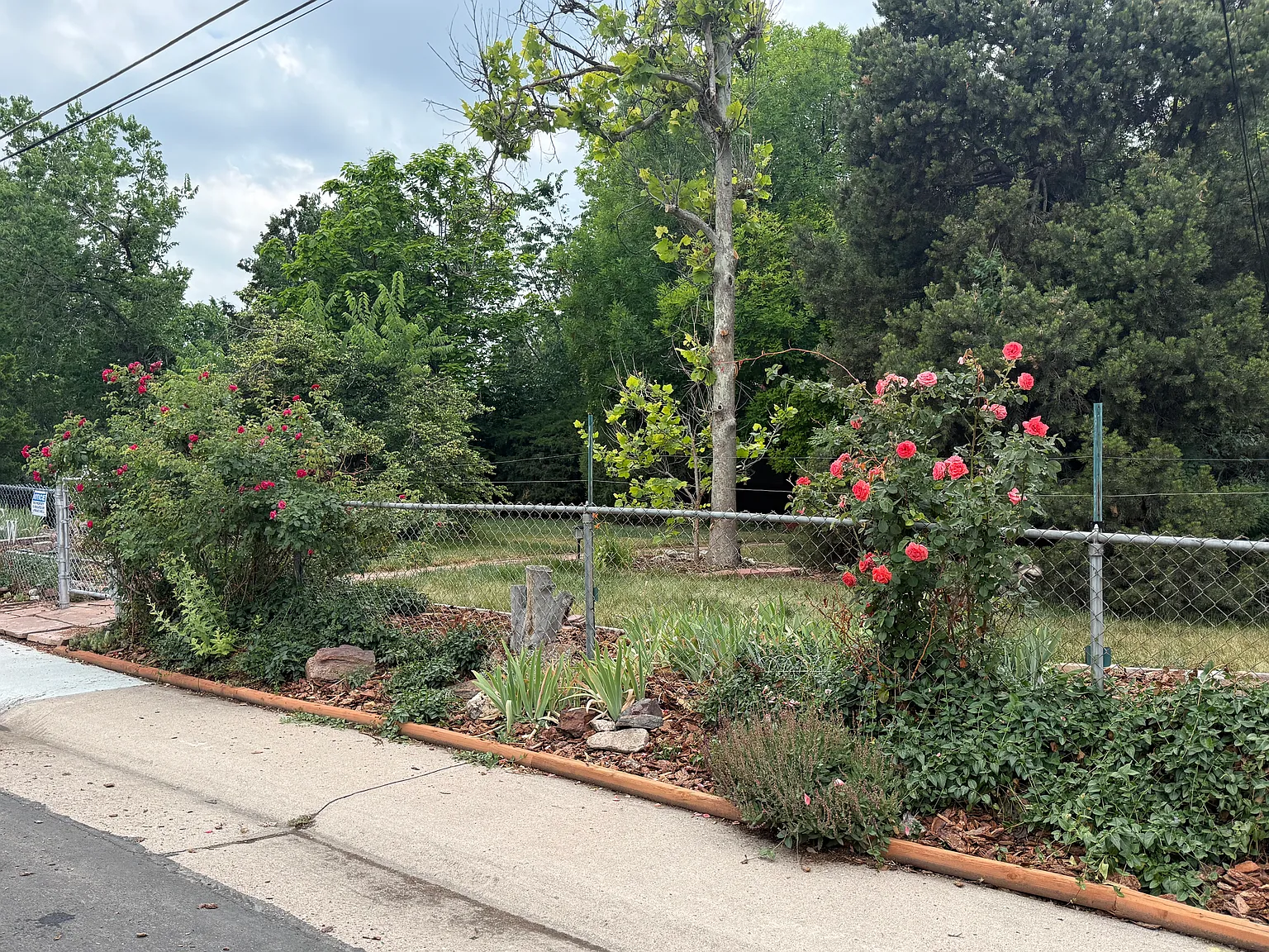 3 bed, 1336 sqft, $950 — Photo 3