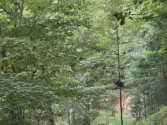 3rd image of 335 Deer Run