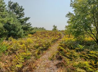 0 V/l Niemi Rd #2, Bear Lake, MI 49614