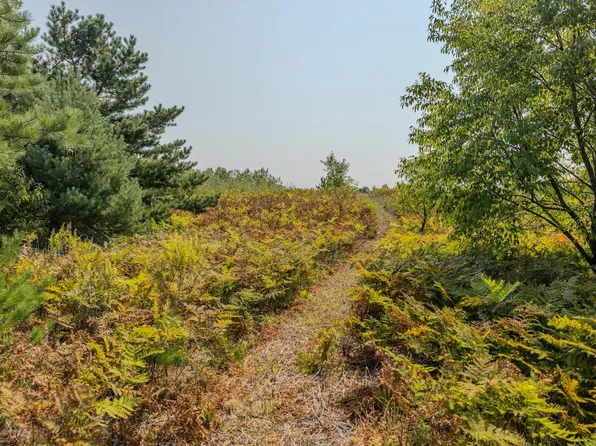 0 V/l Niemi Rd #2, Bear Lake, MI 49614
