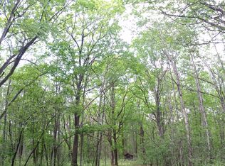 Fruchey Ranch Rd, Curran, MI 48728