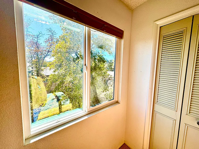 Forest view outside guest bedroom no. 2.