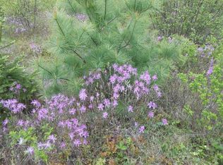 1 Meadow Ln, Blue Hill, ME 04614