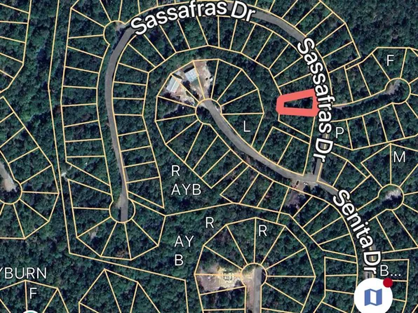 171 Sassafras Dr, Brookeland, TX 75931