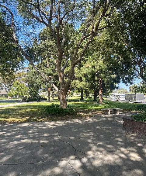 8777 Coral Springs Ct #1B — Photo 6