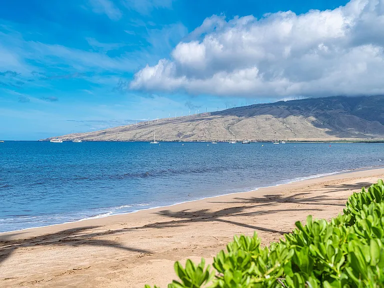 S Kihei Rd — Photo 33