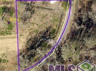 Tbd Swallow Bayou Rd, Saint Amant, LA 70774