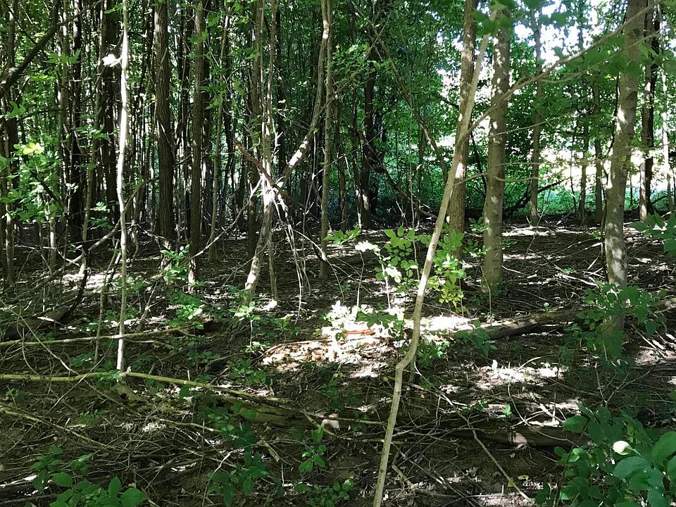 1st image of 34998 County Road 390
