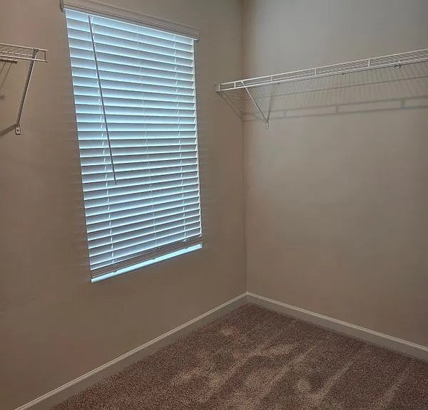 831 River Gardens Dr — Photo 5