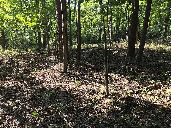 5th image of LOT 435 Ridge Wood Ln