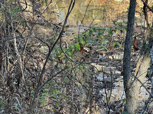 001-08378-001 W High Way #62, Pyatt, AR 72672