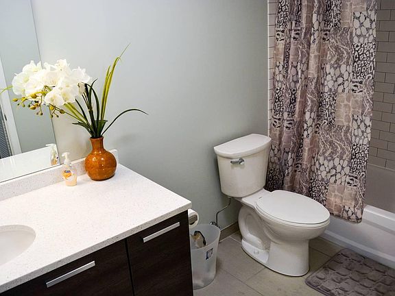 3rd image of 1323 S Michigan Ave #2E