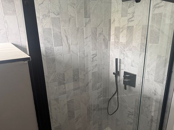 Master Bathroom Shower