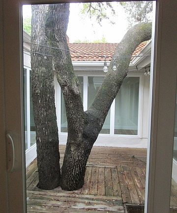 5th image of 11762 Mission Trace St