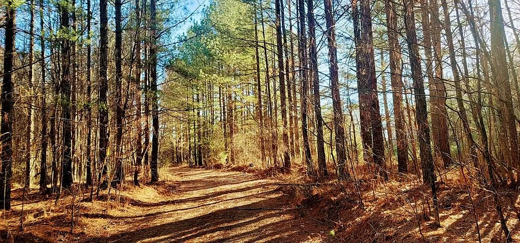 are dogs allowed on battle field trail mass