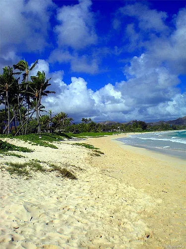 158 Makawao St Photo 1