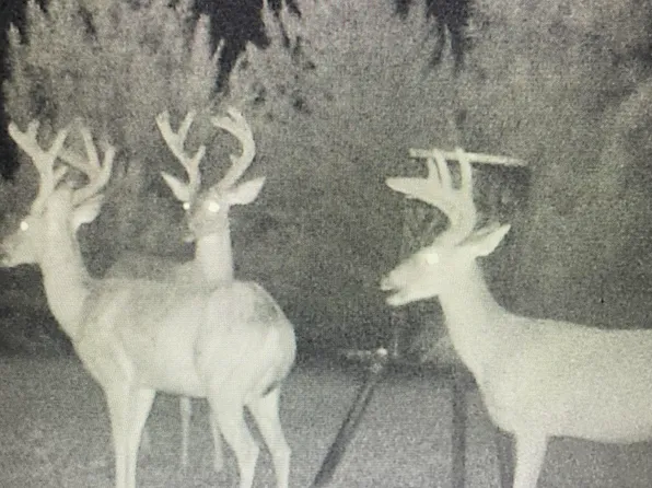 448 Attala County Rd #4005, Goodman, MS 39079