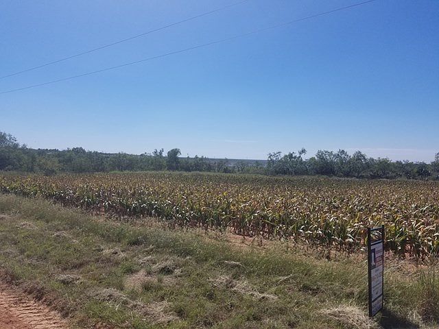 2nd image of 1505 County Road 117