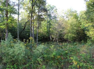 Mountain Preserve Pt LOT 18, Crab Orchard, TN 37723