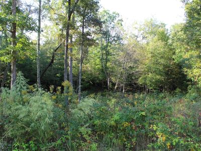Mountain Preserve Pt Lot 18, Crab Orchard, TN, 37723