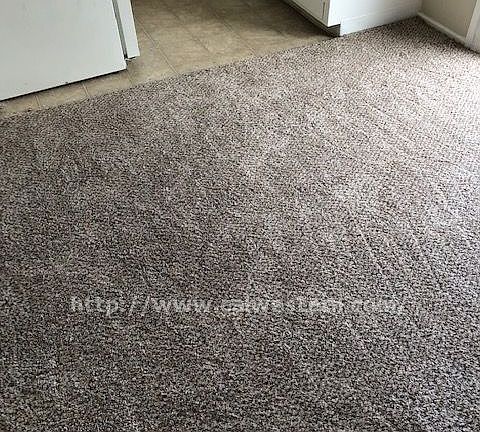 2nd image of 1831 Amelia Way APT 8