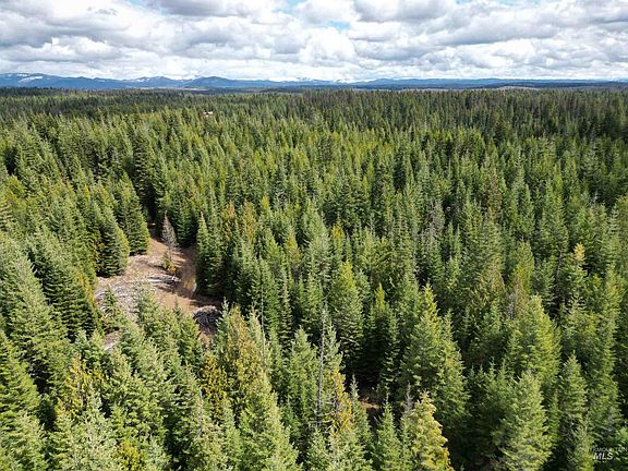 5th image of 9 Spring Ln