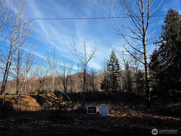 0 Lot 12 Slalom Way, Packwood, WA 98361