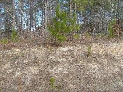 10 Creek Landing Ln, Alexander City, AL, 35010