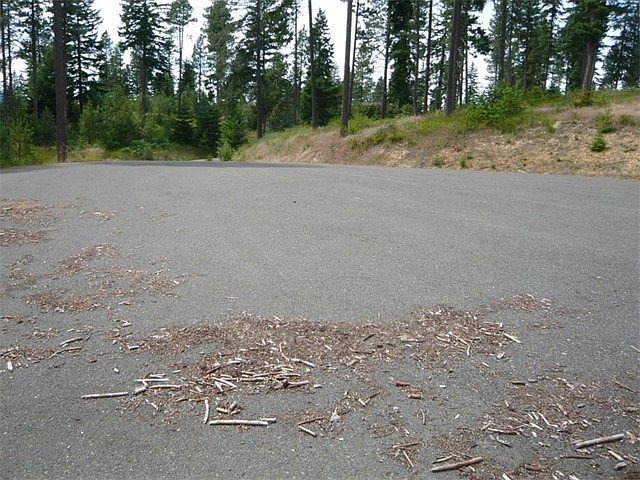 2nd image of Lot 12 Viola Lane