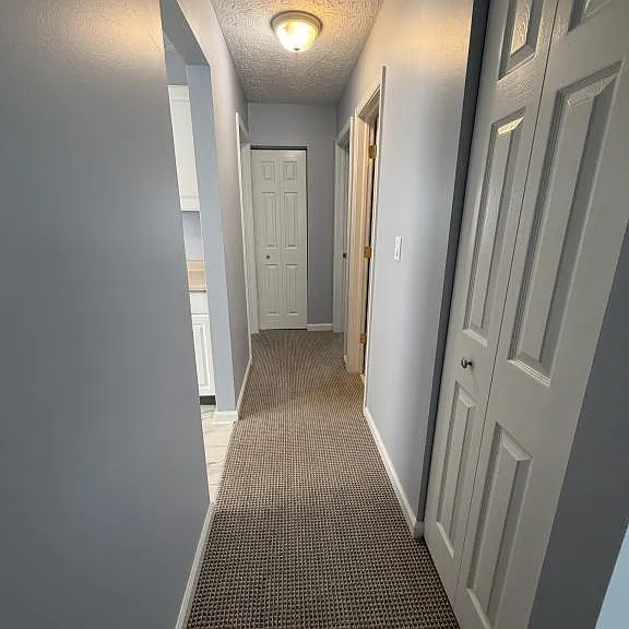 3718 Indian Run Dr — Photo 9