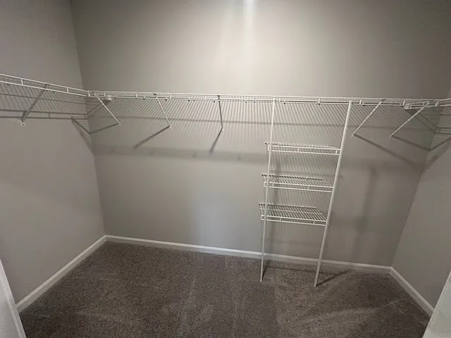 2055 Felicity Pl — Photo 11