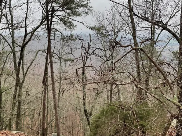 40 Myers Dr, Gurley, AL 35748