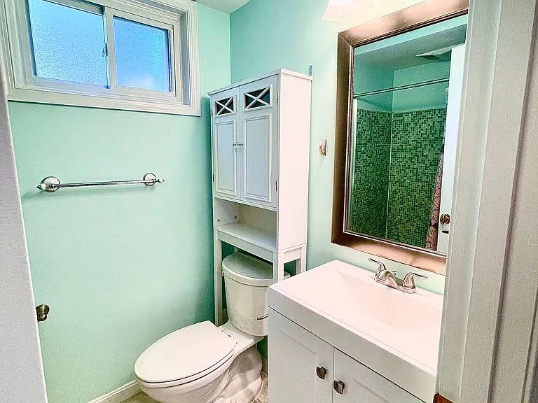 Lower level full bathroom