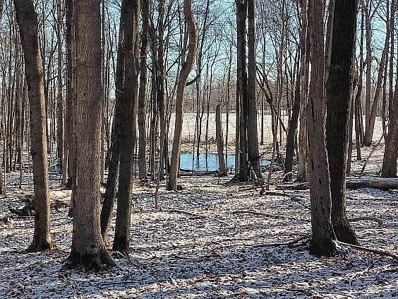 3rd image of 10155 Teasdale Lake St
