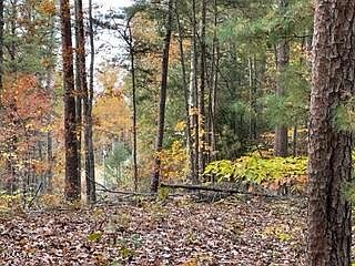 2nd image of Mountain Trail Ln