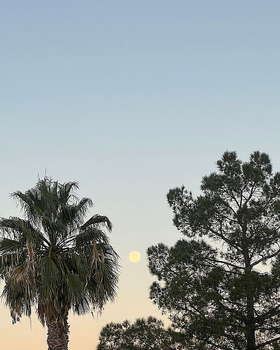 1st image of 13444 Los Angeles Ave