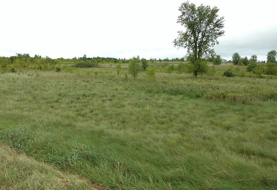 1st image of Lot 11 161st Street