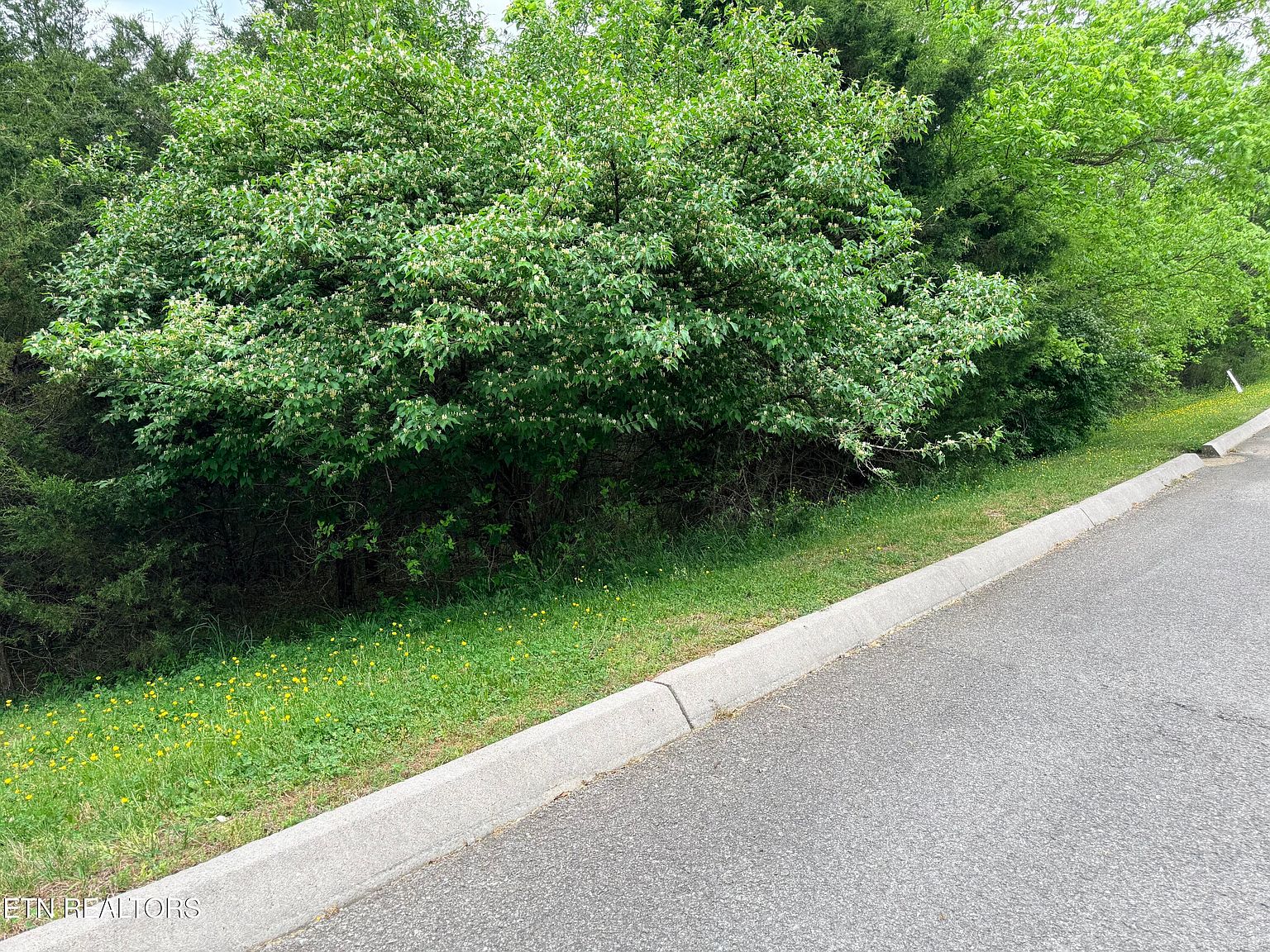 Wedge Way Lot 206