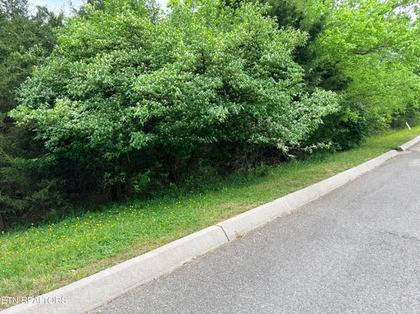 Wedge Way Lot 206, Tazewell, TN 37879