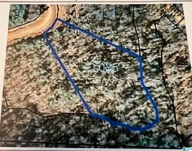 Foster Hills Dr #17, Lineville, AL, 36266