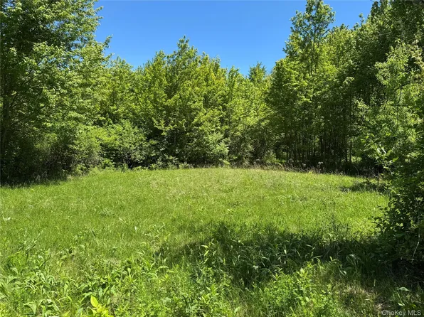 Parcel 1 - TBD Woodstock Road, Millbrook, NY 12545