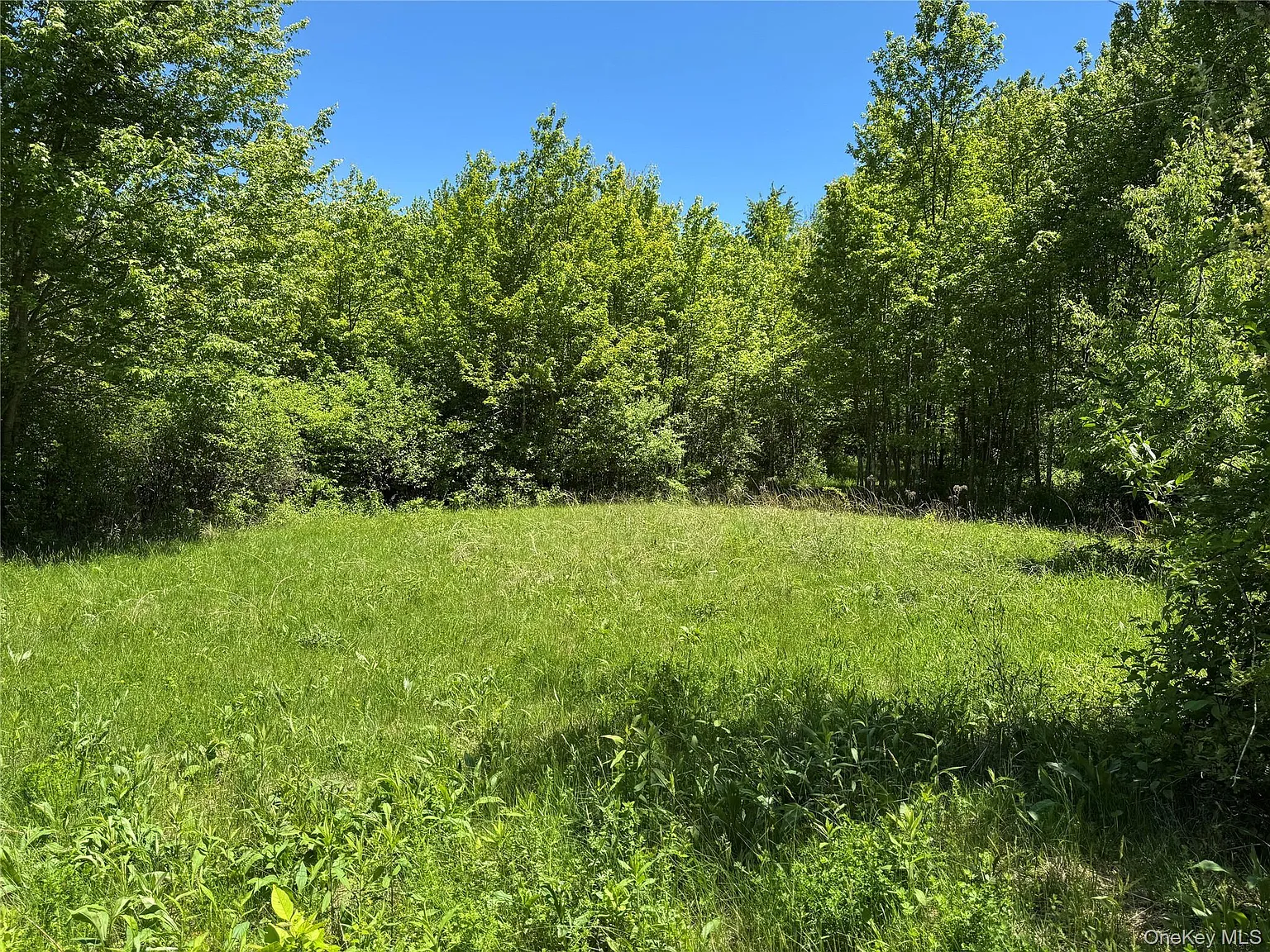 Parcel 1 - TBD Woodstock Road photo 1