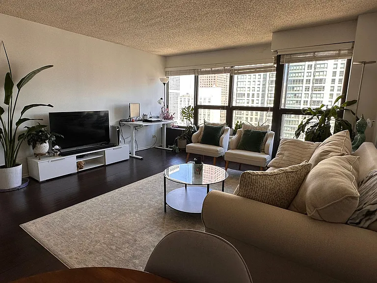 30 E Huron St #3801 — Photo 11