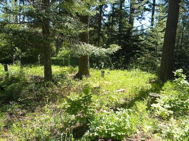1st image of 501 Equinox Dr