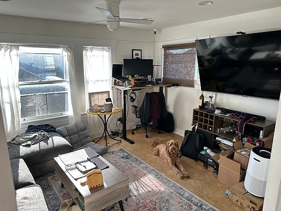 Living Room - Previous Tenant (Dog not included :-)