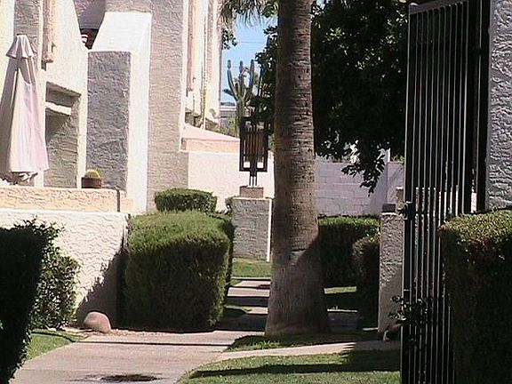 Parklike Complex